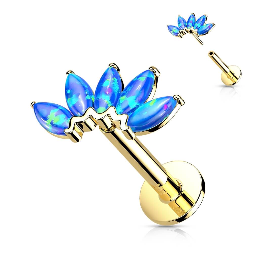 Oro 14kt 5 marquesas ópalo Push In Labret