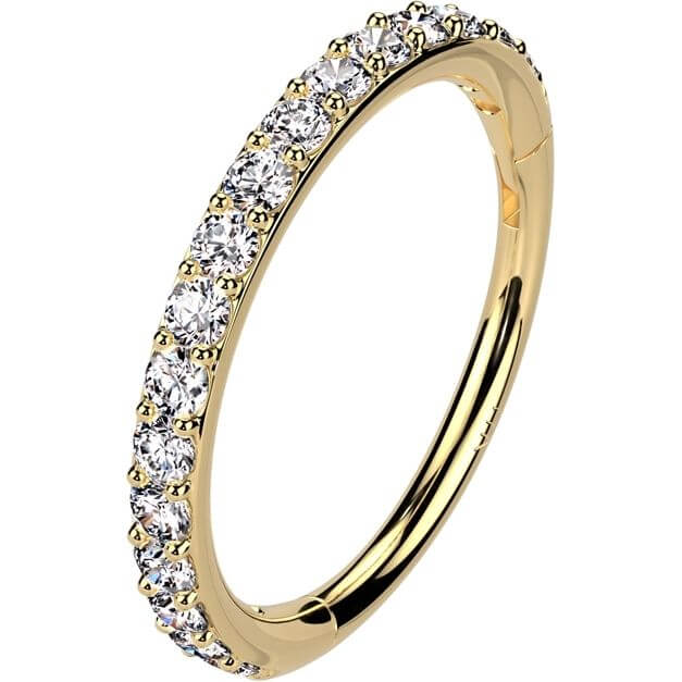 14 Karat Gold Ring Pavefassung Zirkonia Segment