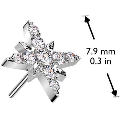 Titanium top starburst Push-In