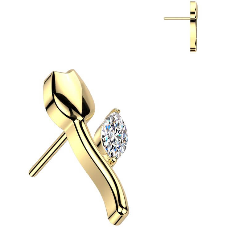 Titanium top tulip zirconia Push-In