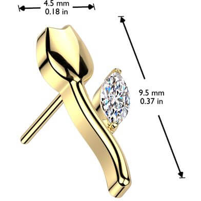 Titanium top tulip zirconia Push-In
