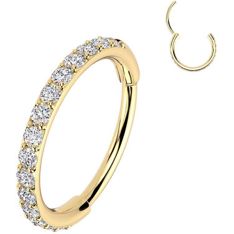 Ring zirconias Segment