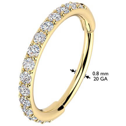Ring zirconias Segment