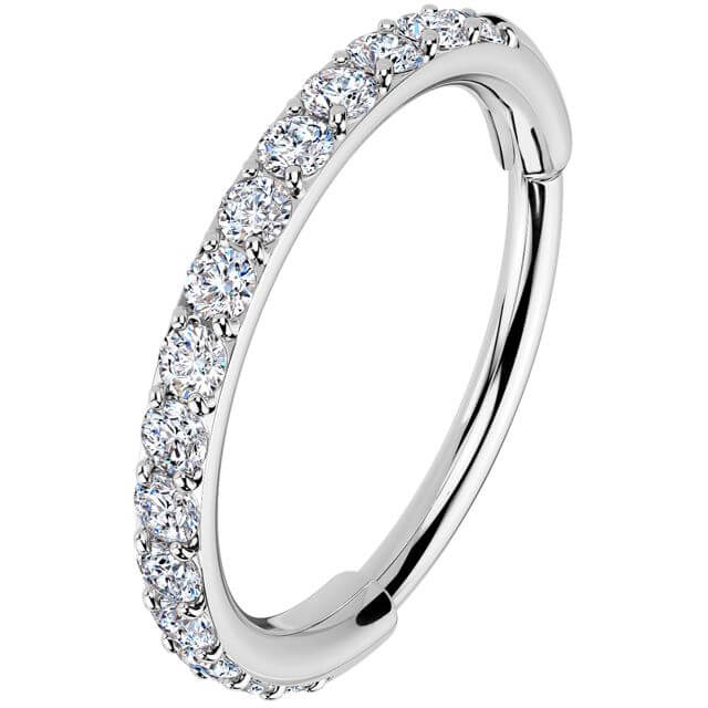 Ring zirconias Segment