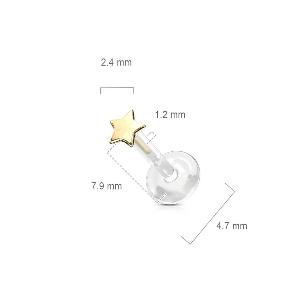 Solid Gold 14 Carat Labret Star Flat Push-In