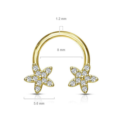 Horseshoe Stars Zirconia