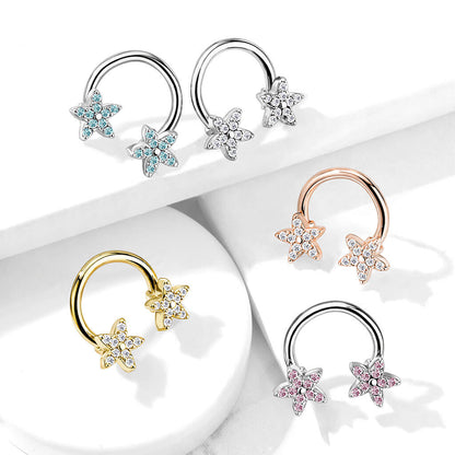 Horseshoe Stars Zirconia