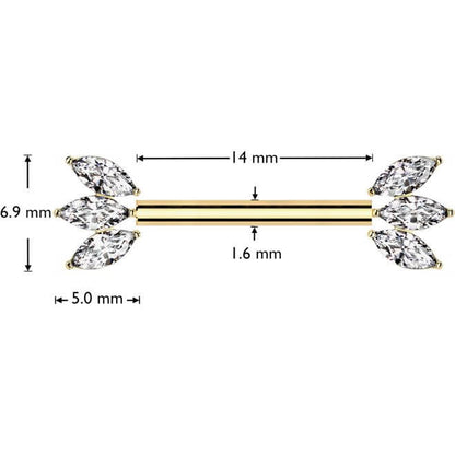 Titane Téton Marquise Zircone Enfoncer