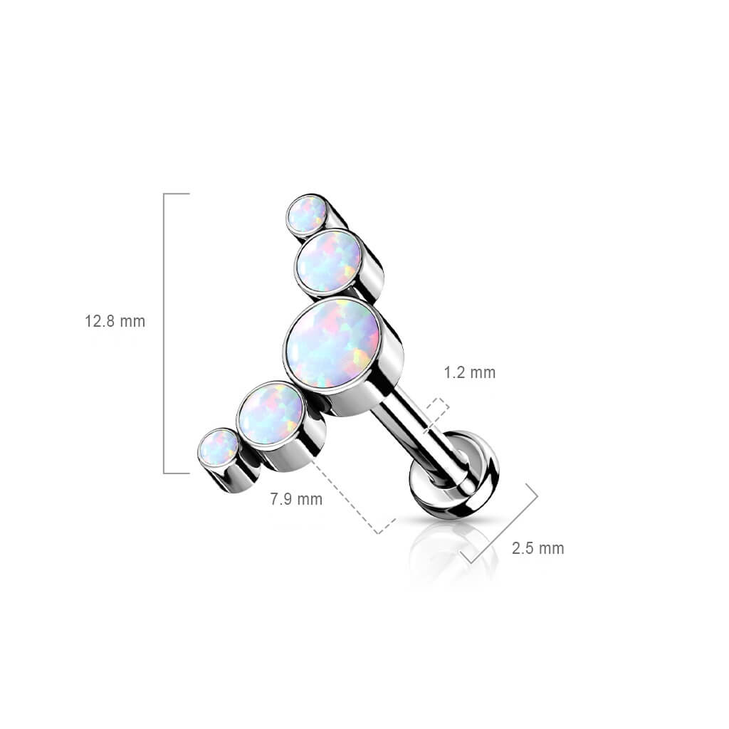 Titane Labret 5 Opales Argent Enfoncer