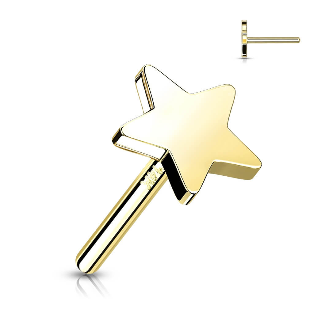 Oro 14kt Top Estrella Plano Push In