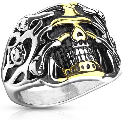 Calavera de oro y plata