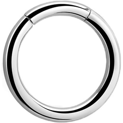 Ring Silver Segment