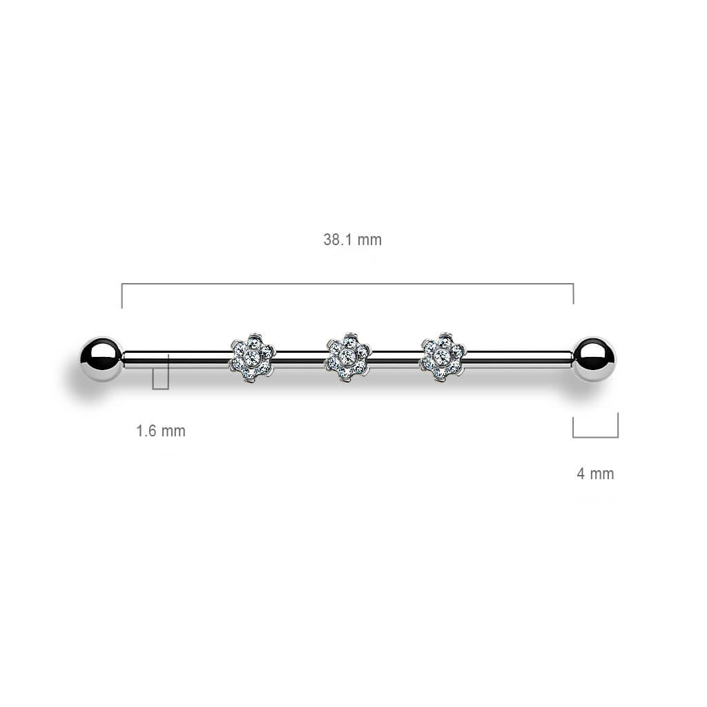 Titanio Barbell Industrial 3 Flor adjunta Circonita Rosca interna