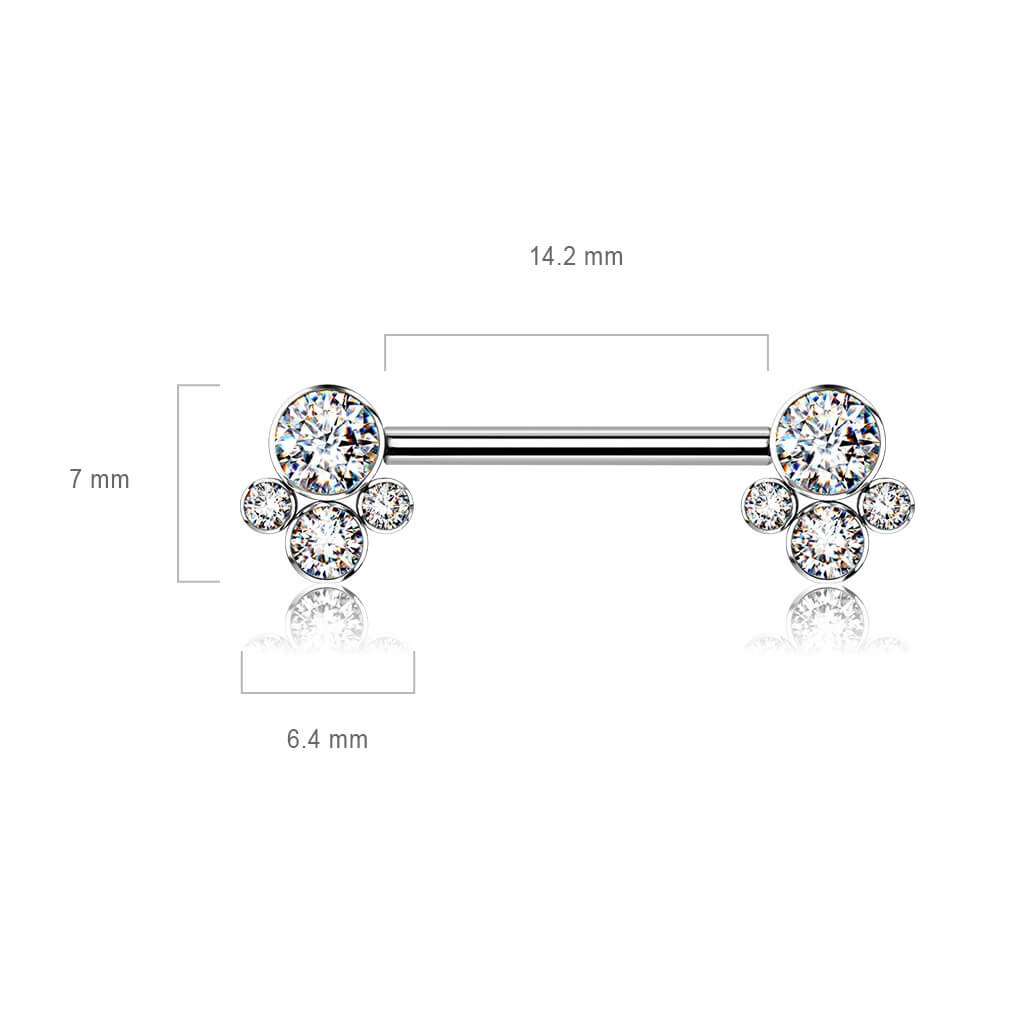 Titanio Piercing Capezzolo Argento con 4 zirconi Filettatura Interna