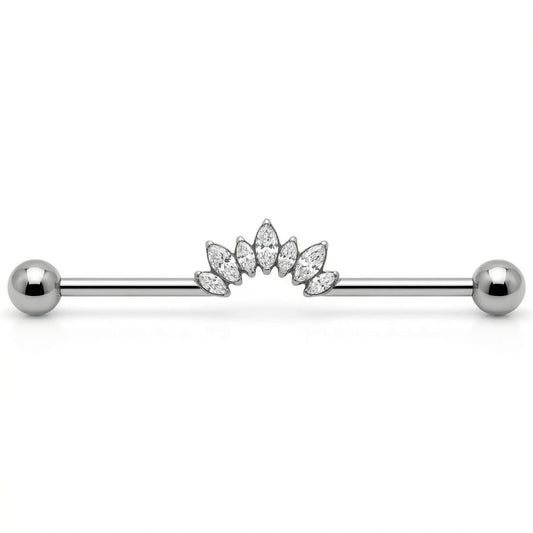 Titanium Industrial Barbell Marquise Crystal Fan Internally Threaded