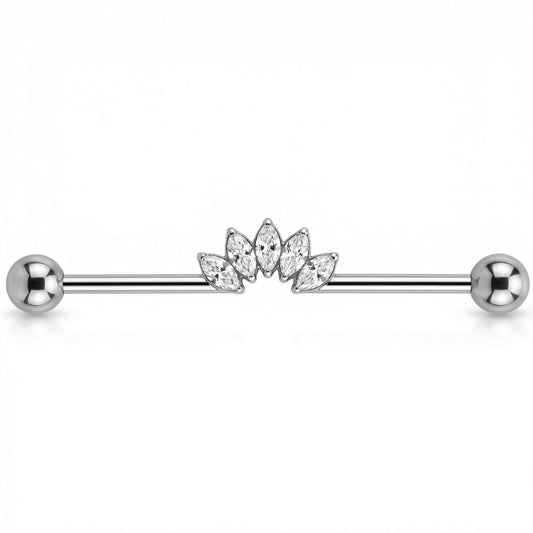 Titanium Industrial Barbell Marquise Crystal Fan Internally Threaded