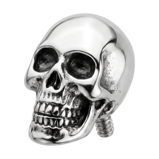 Titanium Top Anatomical Human Skull Internally Threaded